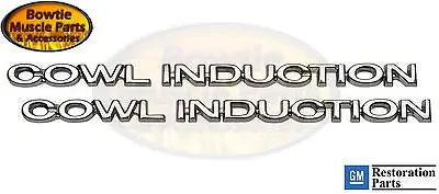 70 71 72 Chevelle El Camino Cowl Induction Emblem Emblems Camaro Nova 67 68 69 1