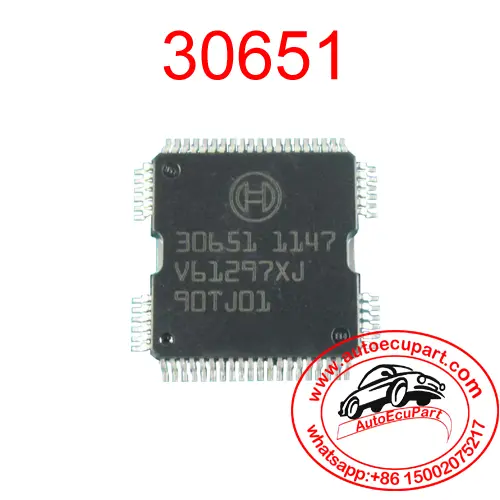 5Pcs 30651 Original New Automotive Bosch Engine Computer Injector Driver Ic Component 1