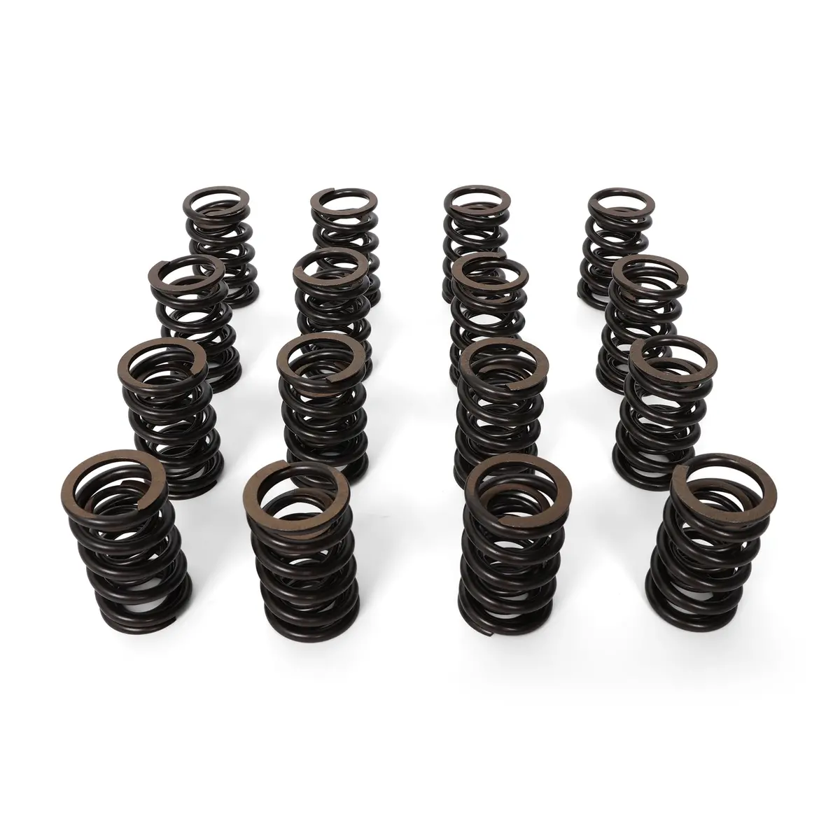 Blox Racing Valve Springs - F-Series Dohc Vtec 1