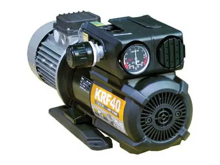 Dry Rotary Vane Pumps 1