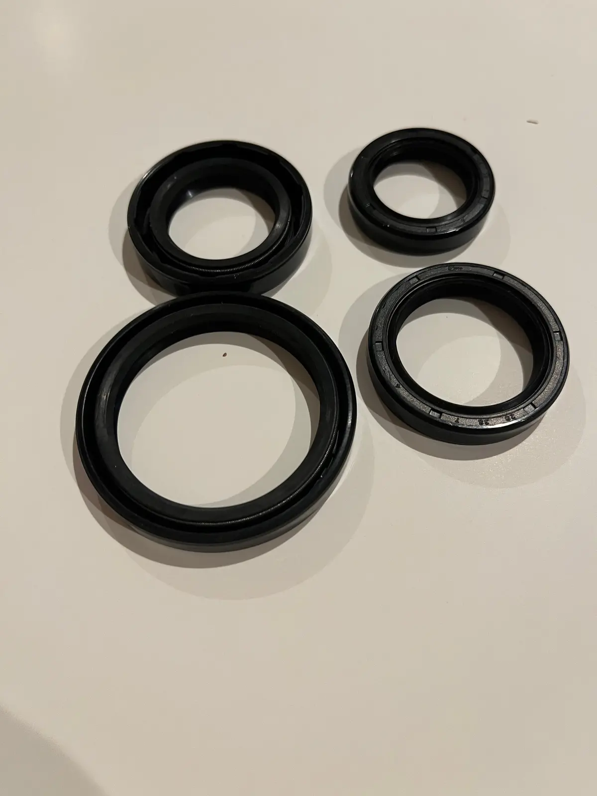 Can Am 486/500Cc  Rotax, 2 Stroke Engine Seals 1