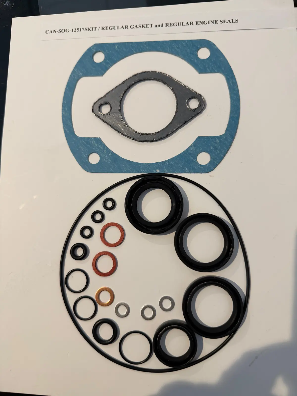 Can Am 125/175 Rotax Engine Seal, Gasket And O'ring Kit, (Regular Or Viton Seals/Regular Or Early Gasket) -New!Air Cooled Only 1