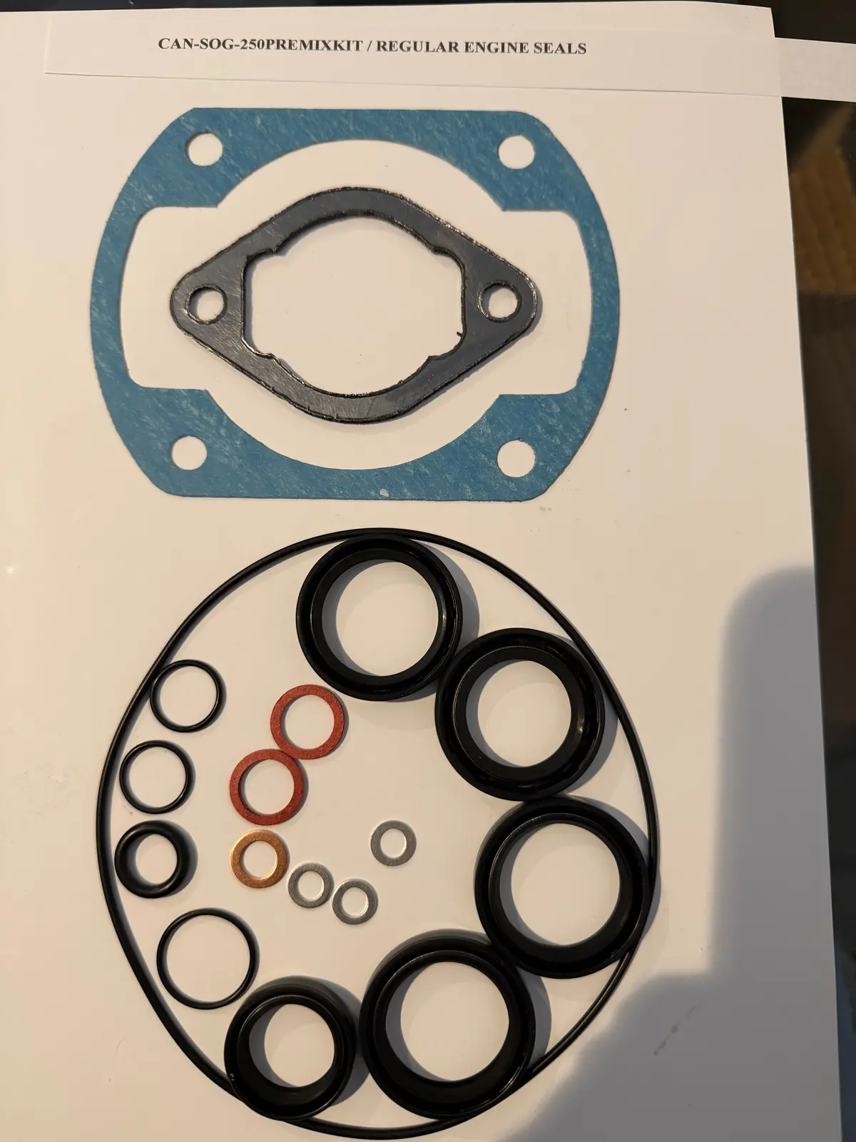 Can Am 250 Pre-Mix Mx, Qualifier, Rotax Engine Seals (Regular Or Viton), Gaskets And O'rings Kit - Air Cooled Only 1