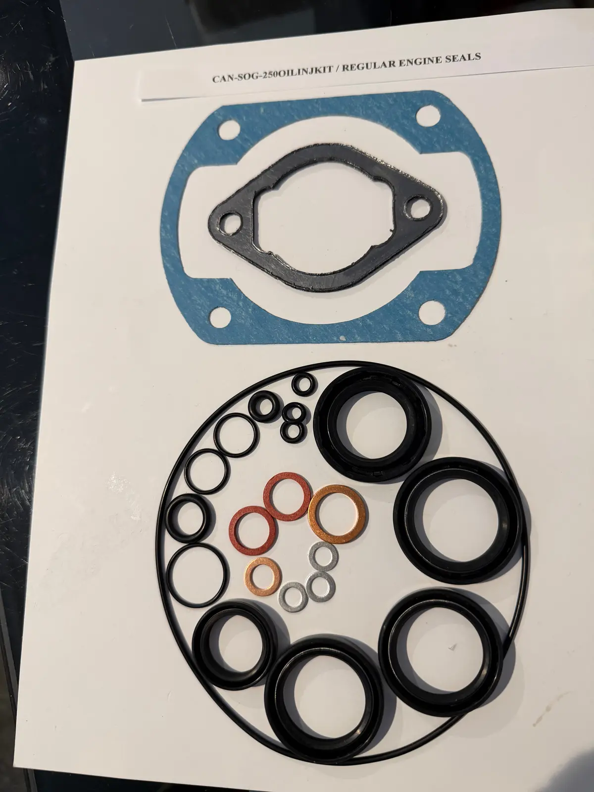 Can Am 250 Oil Injection Mx/Tnt/Qual Rotax Engine Seals (Regular Or Viton), Gaskets And O'ring Kit, Air Cooled Only 1