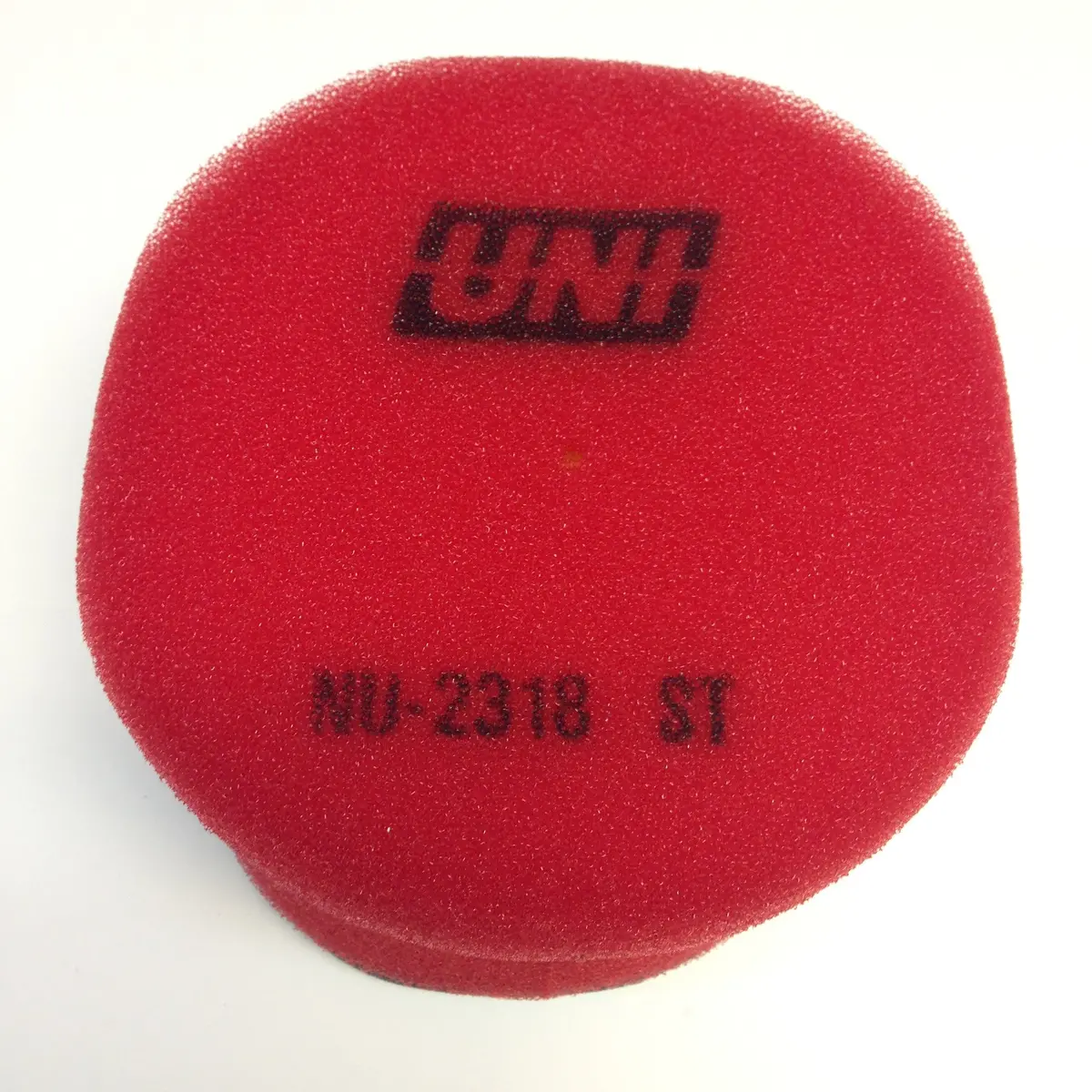 Kawasaki, 1978, Kx 125/250 A4, Air Filter 1