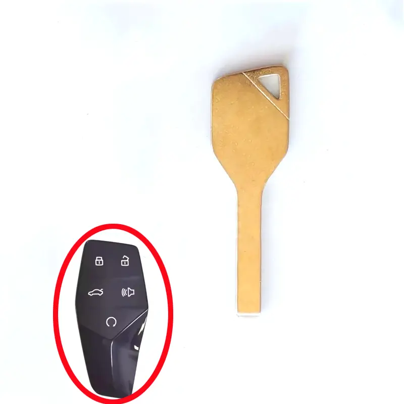 Key Blade For Mg One Suv Smart Key 1