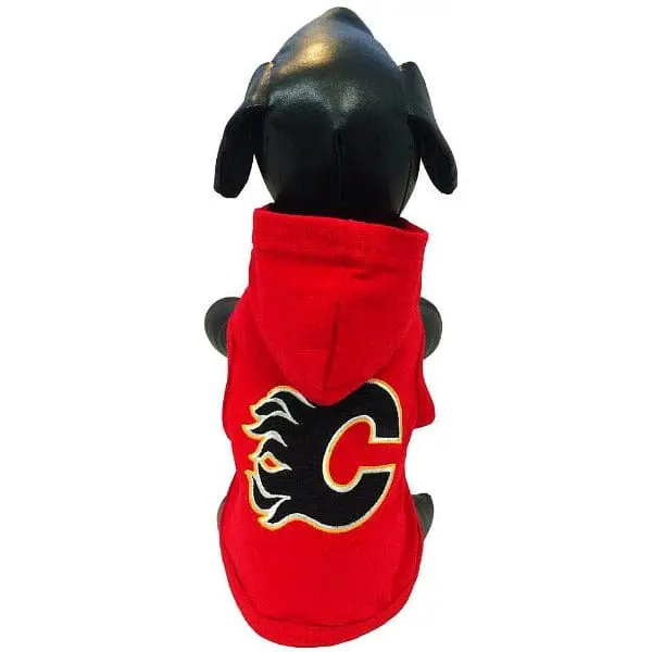 Calgary Flames All Star Nhl Hooded Shirt 1