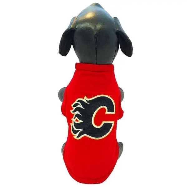 Calgary Flames All Star Nhl Tshirt 1