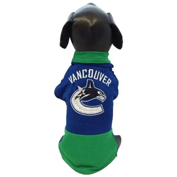 Vancouver Canucks All Star Nhl Athletic Jersey 1