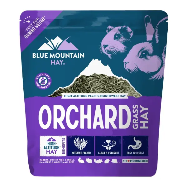 Blue Mountain Hay High-Altitude Orchard Grass Hay 1