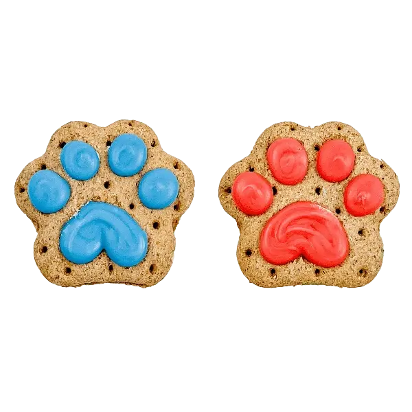 Bosco And Roxy's Birthday | Let The Paw-Nanigans Begin! 1