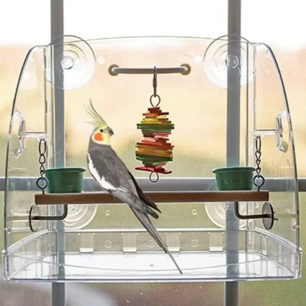 Caitec Bird Window Play Center 1