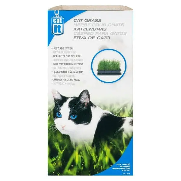 Catit Cat Grass 1