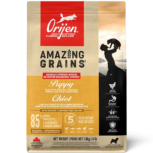Orijen Amazing Grains Puppy Dry Dog Food 1