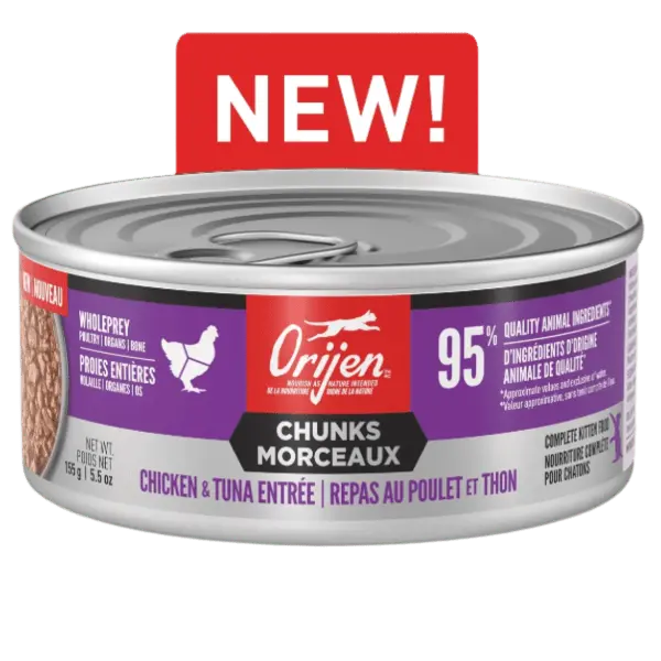 Orijen Chicken & Tuna Chunks Entrée Canned Kitten Food, 5.5Oz 1