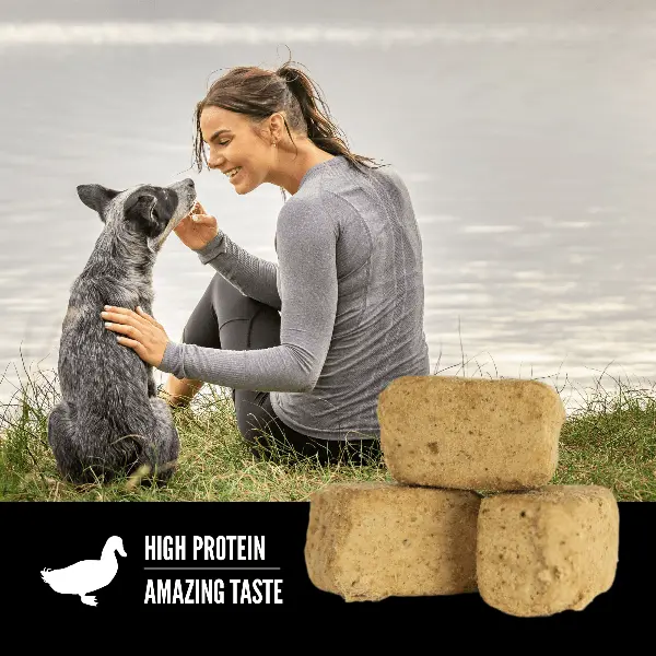 Orijen Free-Run Duck Recipe Freeze-Dried Dog Treats 2