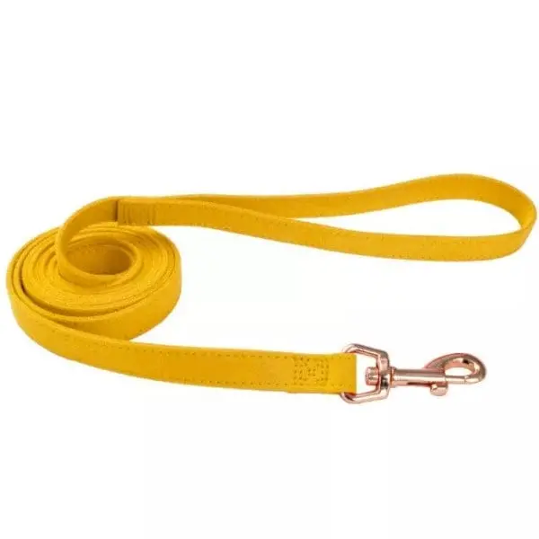 Coastal Accent Microfiber Dog Leash 2