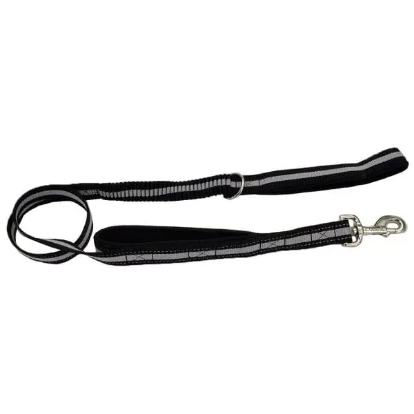 Coastal Double-Handle Bungee Leash 1