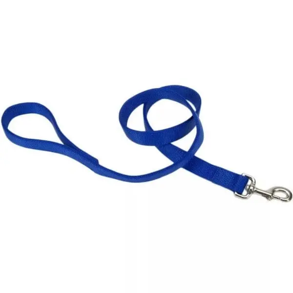 Coastal Double-Ply Nylon Dog Leash 2