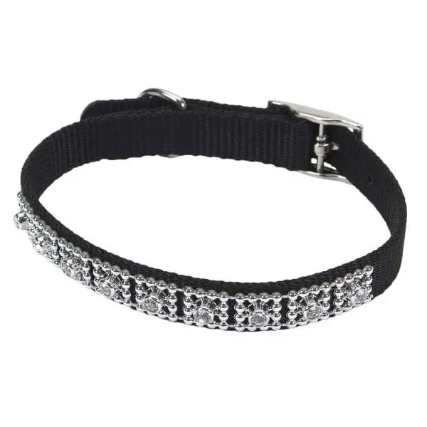 Coastal Jewelled Dog Collar 1