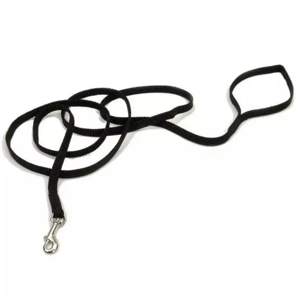 Coastal Sunburst Dog Leash 1
