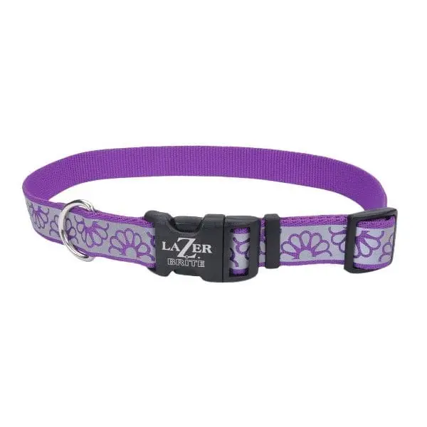 Lazer Brite Reflective Adjustable Collar 4