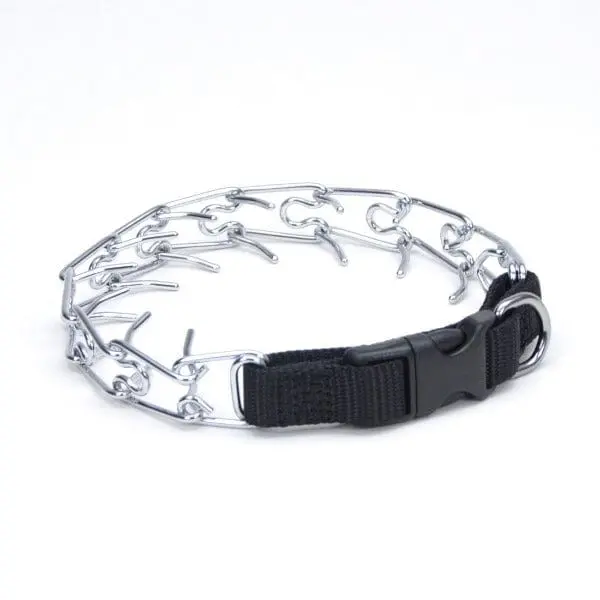 Titan Easy-On Dog Prong Training Collar With Buckle 1