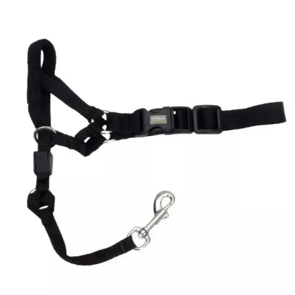 Walk 'N Train! Dog Head Halter 1