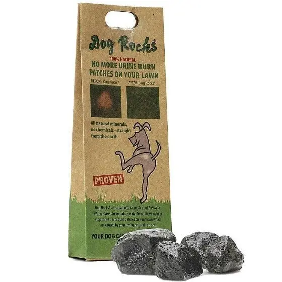 Dog Rocks - Save Your Lawn 1