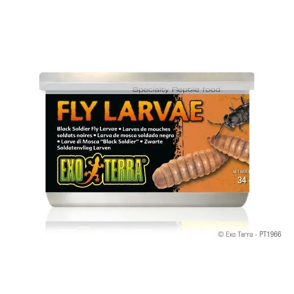 Exo Terra Bfs Larvae Canned Specialty Reptile Food 1