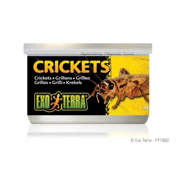 Exo Terra Crickets Canned Specialty Reptile Food 1