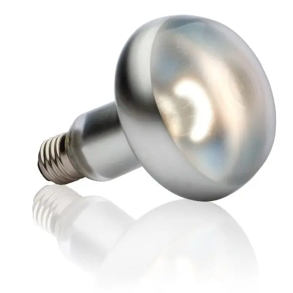 Exo Terra Intense Basking Spot Lamp 1