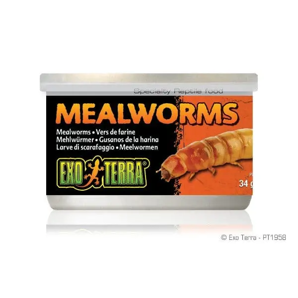 Exo Terra Mealworms Canned Specialty Reptile Food 1