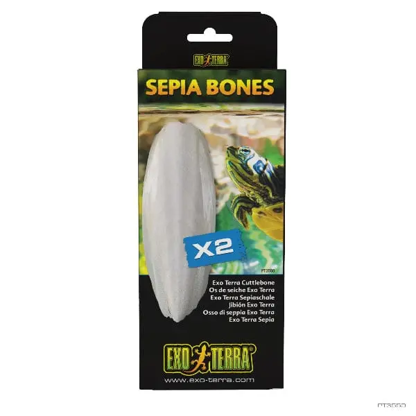 Exo Terra Sepia Bone For Turtles 1
