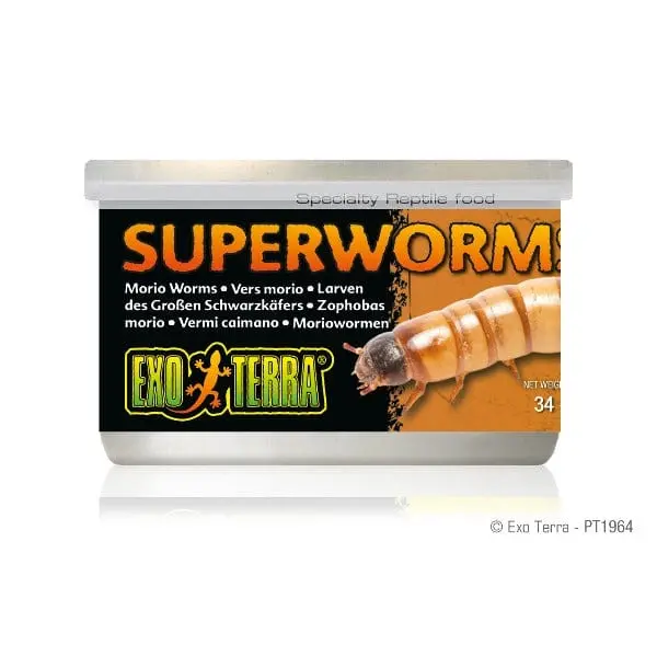 Exo Terra Superworms Canned Specialty Reptile Food 1