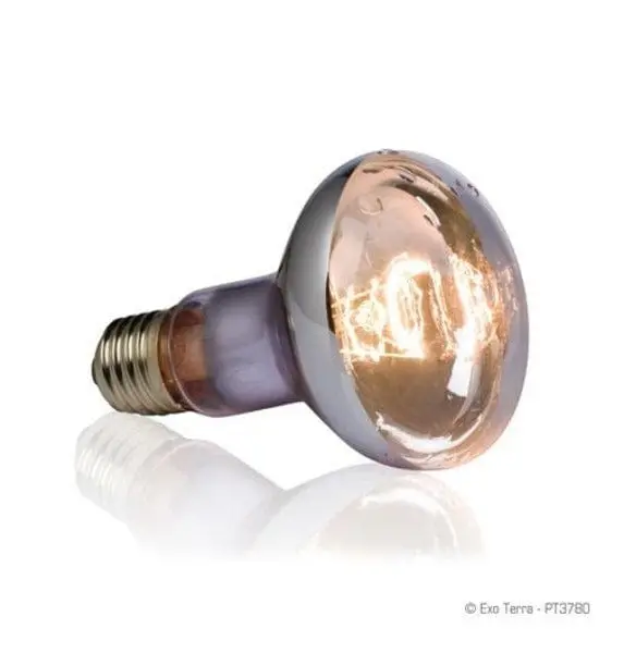 Exo Terra Swamp Basking Spot Bulb 1