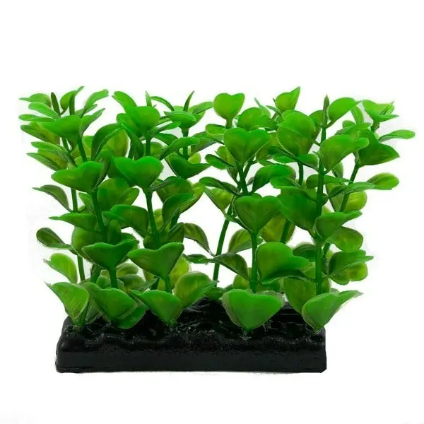 Fish Gear Foreground Green Water Clover Aquarium Plant (4") 1