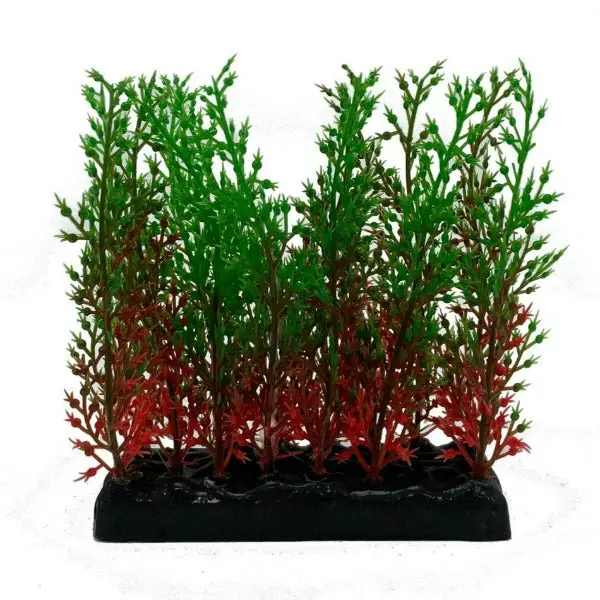 Fish Gear Foreground Red & Green Hygrophila Aquarium Plant (4") 1