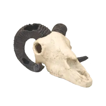 Fish Gear Rams Skull Aquarium Ornament 1
