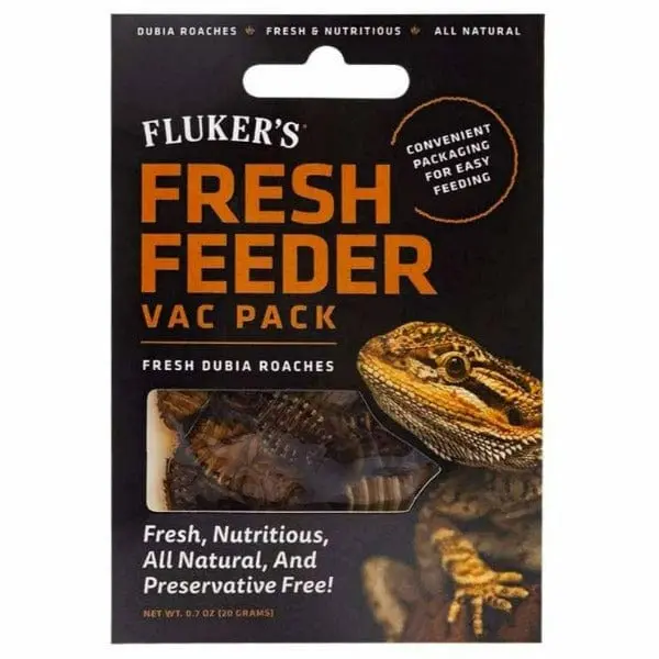Fluker's Fresh Dubia Roaches Vac Pack 1