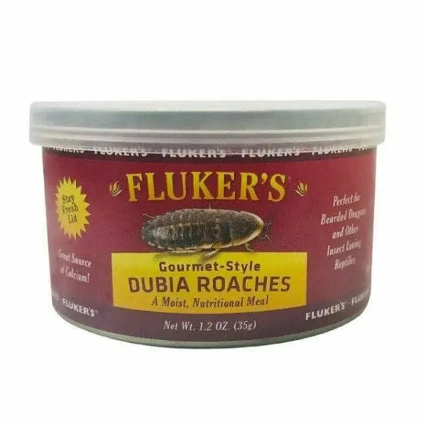 Fluker's Gourmet-Style Dubia Roaches 1