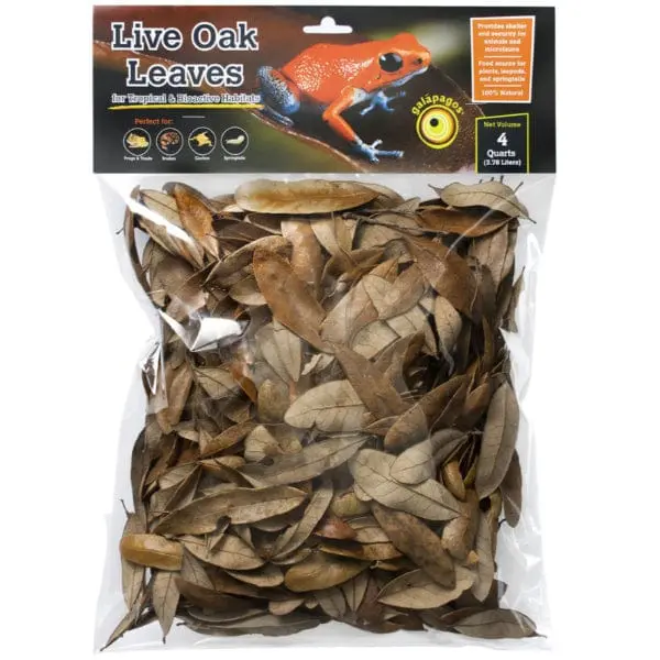 Galápagos Natural Live Oak Leaf Litter 1