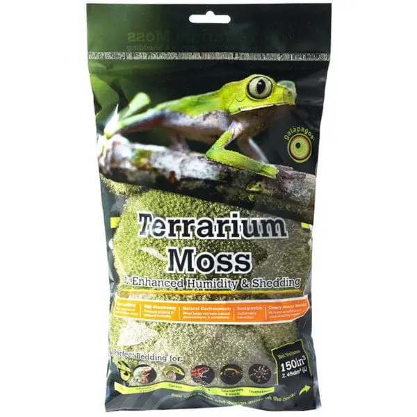 Galápagos Pillow Moss 1