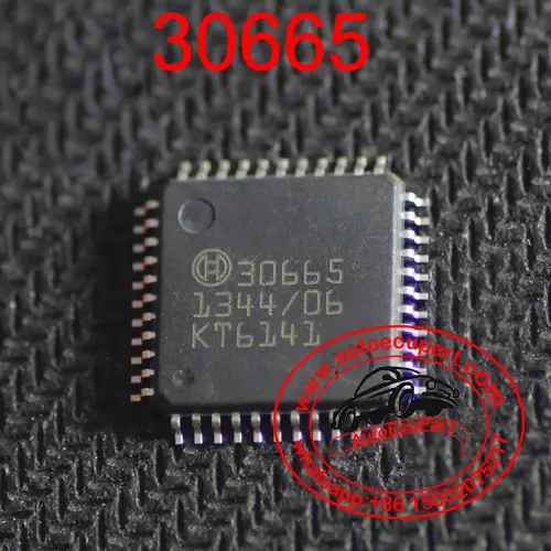 5Pcs 30665 Original New Bosch Engine Computer Ic Auto Component 1
