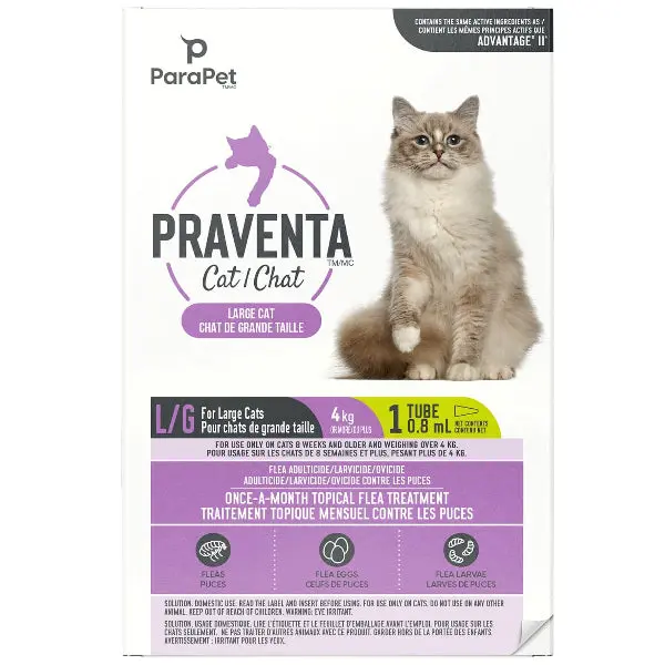 Parapet Praventa For Cats 1