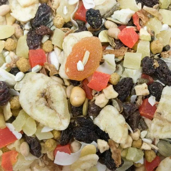 Sunburst Fruits & Veggies (Large) Gourmet Natural Bird Treats 2