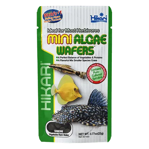 Hikari Tropical Mini Algae Wafers 1