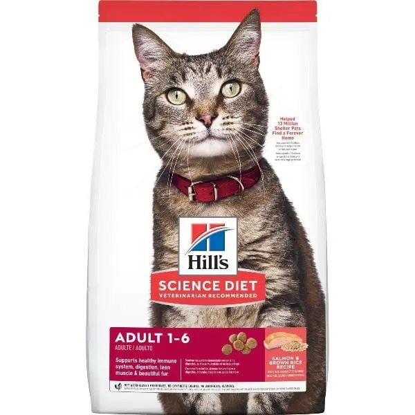 Science Diet Adult Salmon & Brown Rice Recipe Dry Cat Food 1