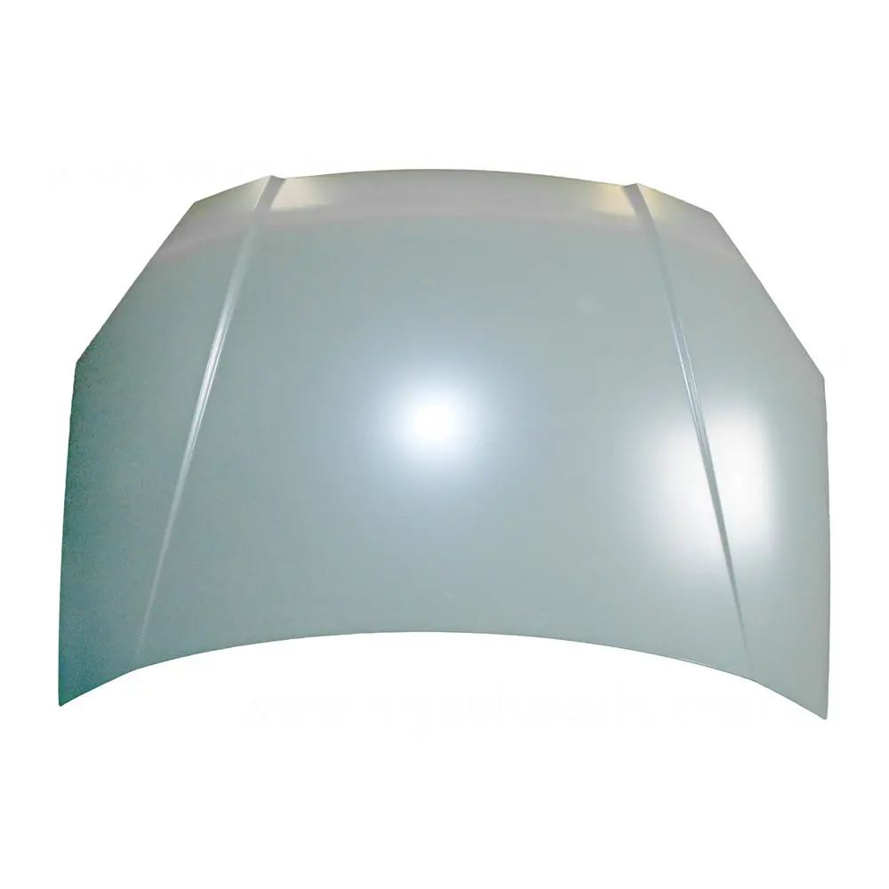 Oem Bonnet Suits Kia Rio Jb 2005 To 2011 1