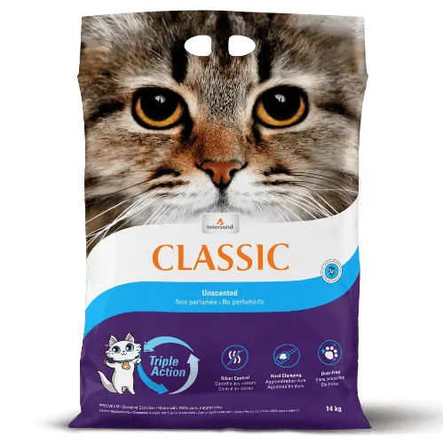 Intersand Classic Clumping Cat Litter 1